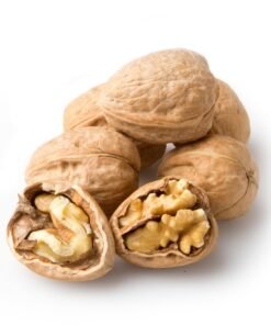 Walnut in shell